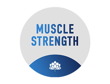 Muscle Strength on JioTV