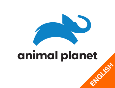 Animal Planet English on JioTV