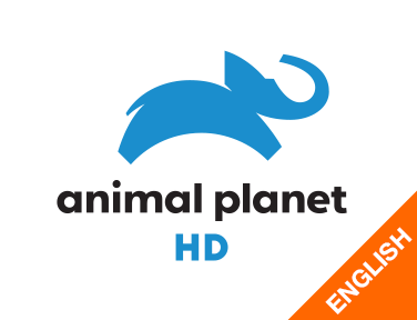 Animal Planet HD English on JioTV