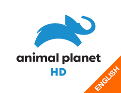 Animal Planet HD English on JioTV