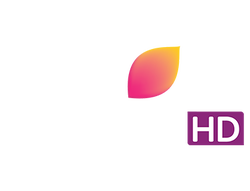 Colors HD on JioTV