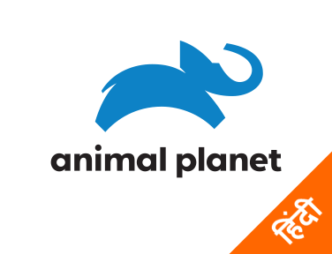 Animal Planet Hindi on JioTV