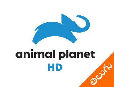 Animal Planet HD Telugu on JioTV