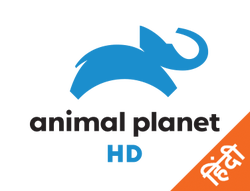Animal Planet HD Hindi on JioTV