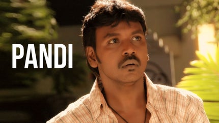 Pandi on Kalaignar TV - past program