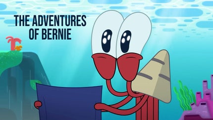 The Adventures of Bernie on Sonic Bangla - past program