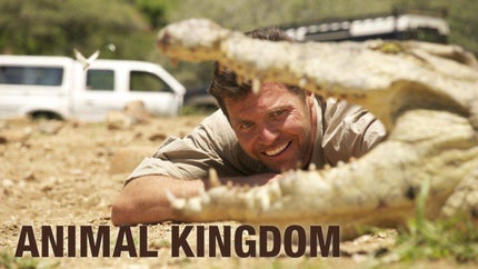 Animal Kingdom on Safari TV  - past program