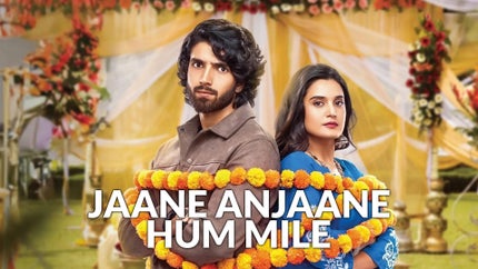 Jaane Anjaane Hum Mile Episode 215 on Zee TV HD - past program