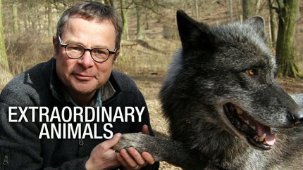 Extraordinary Animals on ABC Australia - past program