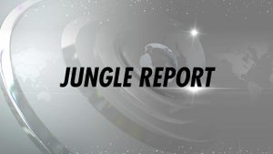Jungle Report on News Nation - past program