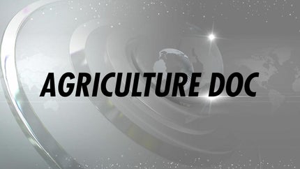 Agriculture Doc on India News Haryana - past program