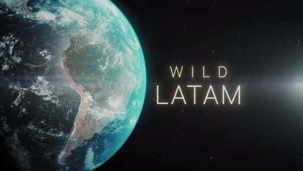 Wild Sky Episode 2 on Animal Planet Hindi - past program
