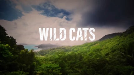 Jaws & Claws on Animal Planet English - past program