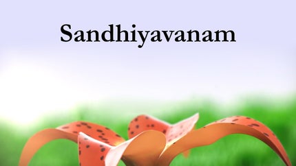 Sandhiyavanam on Madhimugam TV - past program