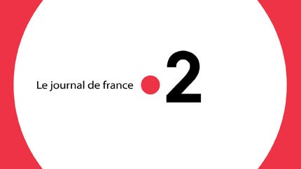 Le journal de France 2 on TV5 Monde - past program