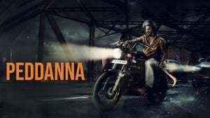 Peddanna on Gemini TV HD - past program