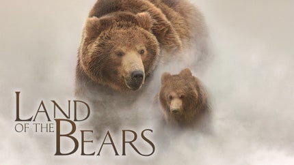 Land of the Bears on Romedy Now - past program