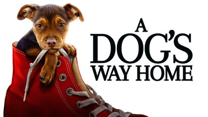 A Dog's Way Home on Romedy Now - future program