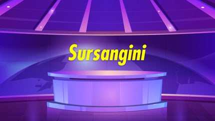 Sursangini on News Marathi 24x7 - future program