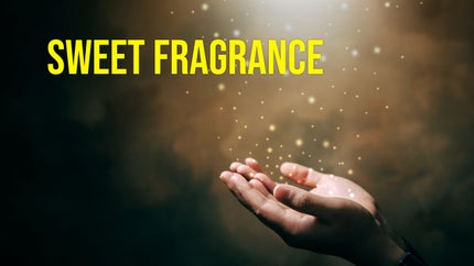 Sweet Fragrance on Shubhsandesh TV - past program