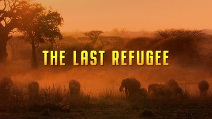 The Last Refuge on Animal Planet HD Telugu - past program