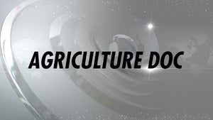 Agriculture Doc on India News Haryana - past program