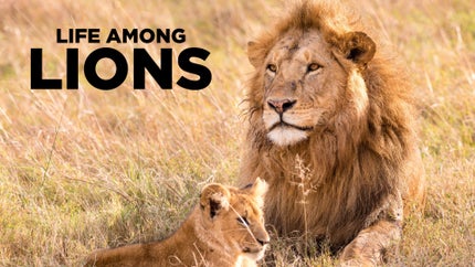 Animal Armory Episode 1 on Animal Planet Hindi - past program