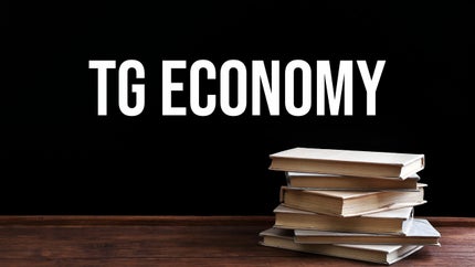 TG Economy on T SAT Nipuna - past program
