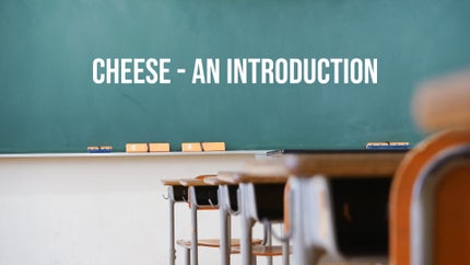 Cheese - An Introduction on DD Gyandarshan - past program