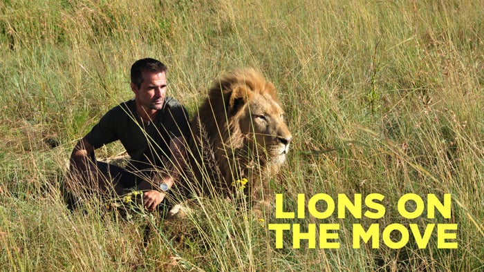 Lions on the Move Episode No.2 on JioTV