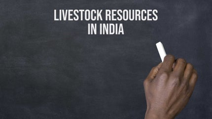 Livestock Resources in India on DD Gyandarshan - past program