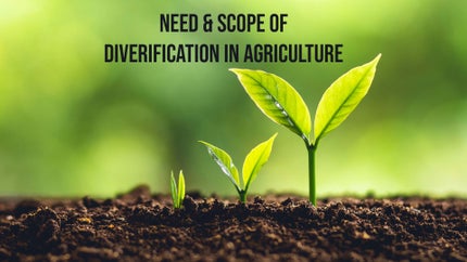 Need & Scope Of Diverification In Agriculture on DD Gyandarshan - past program