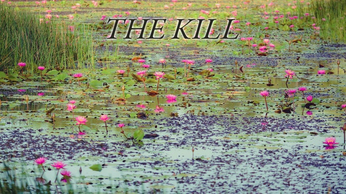 The Kill on JioTV