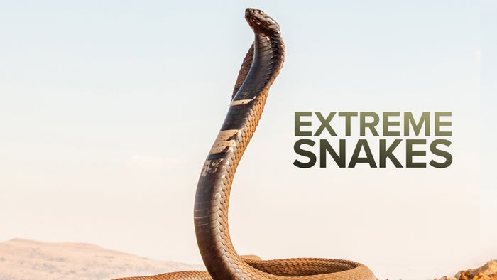 Extreme Snakes Episode No.1 on JioTV