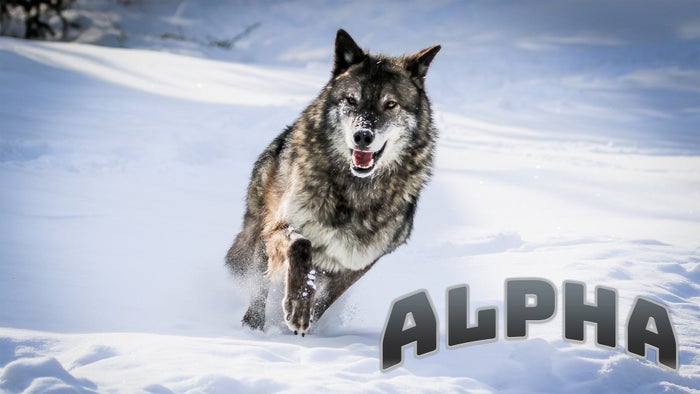 Alpha on JioTV