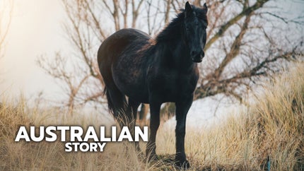 Australian Story on ABC Australia - past program