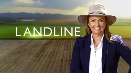 Landline on ABC Australia - past program