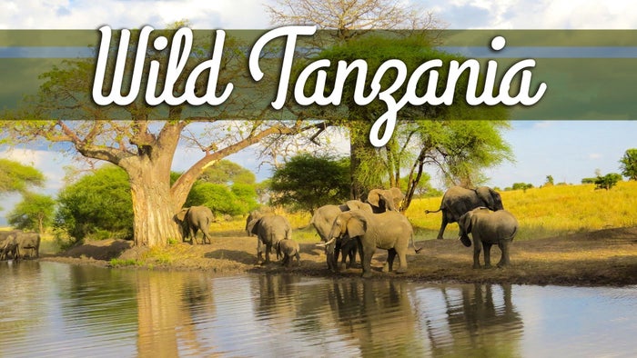 Africa's Trees of Life Episode No.2 on JioTV
