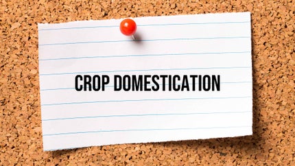 Crop Domestication on DD Gyandarshan - past program