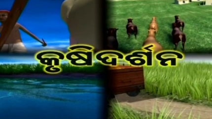 Krushi Darshan on DD Oriya - future program