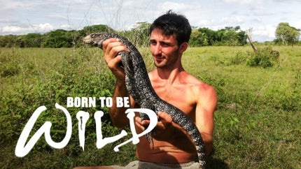Born to be Wild Episode 1 on History TV18 - past program