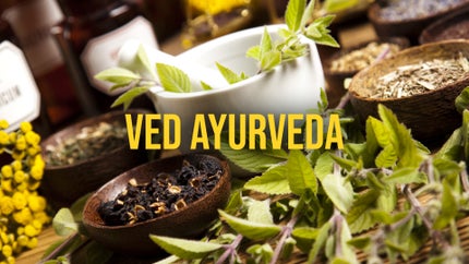 Ved Ayurveda on Sadhna News MP CG - past program