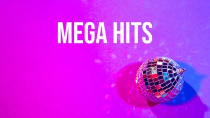 Mega Hits on Raj Pariwar - past program