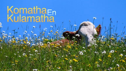 Komatha En Kulamatha on DD5 Podhigai - future program