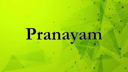 Pranayam on Raj Music Malayalam - past program