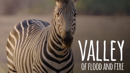 Valley of Flood and Fire Episode 1 on Animal Planet Hindi - past program