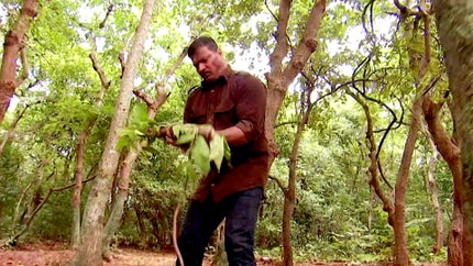 CID Episode 2725 on Sony aath - past program