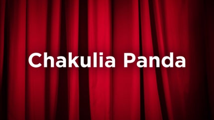 Chakulia Panda on DD Oriya - past program