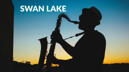 Swan Lake on DD bharati - past program