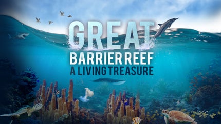 Great Barrier Reef: A Living Treasure Episode 4 on ABC Australia - past program